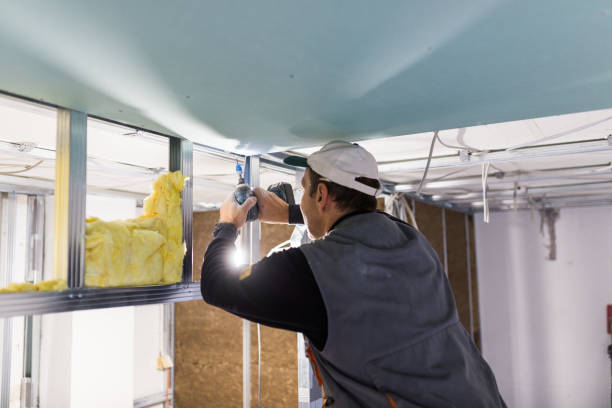 Best Spray Foam Insulation  in Midlothian, IL