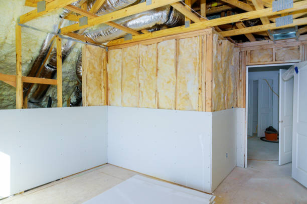 Best Insulation Removal  in Midlothian, IL