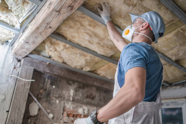 Best Insulation for New Construction  in Midlothian, IL